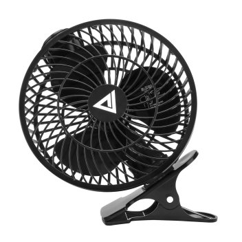 fan